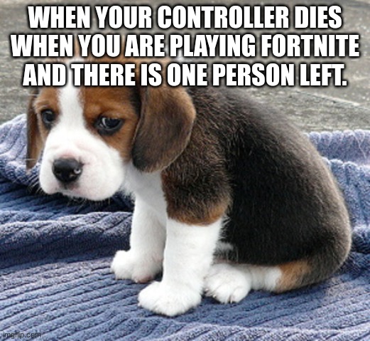 sad dog | WHEN YOUR CONTROLLER DIES WHEN YOU ARE PLAYING FORTNITE AND THERE IS ONE PERSON LEFT. | image tagged in sad dog | made w/ Imgflip meme maker