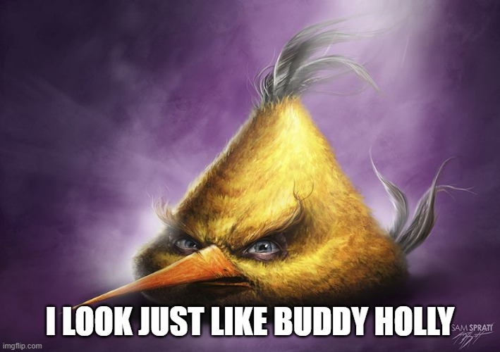 Realistic yellow angry bird | I LOOK JUST LIKE BUDDY HOLLY | image tagged in realistic yellow angry bird | made w/ Imgflip meme maker