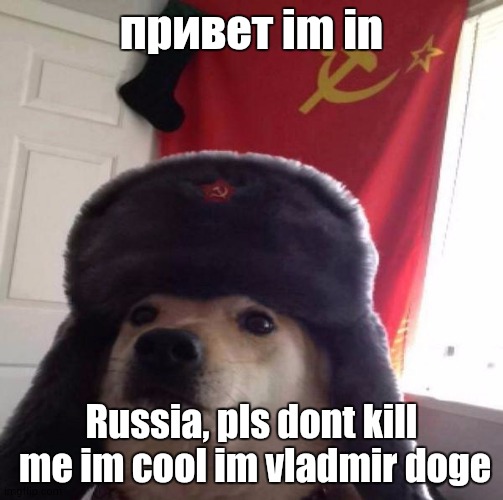 Only russians will know what does привет means | привет im in; Russia, pls dont kill  me im cool im vladmir doge | image tagged in russian doge | made w/ Imgflip meme maker