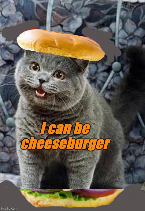 It Ain't White Castle, But The Locals Love 'Em | I can be cheeseburger | image tagged in i can has cheezburger cat,political meme,politics,funny memes,funny | made w/ Imgflip meme maker