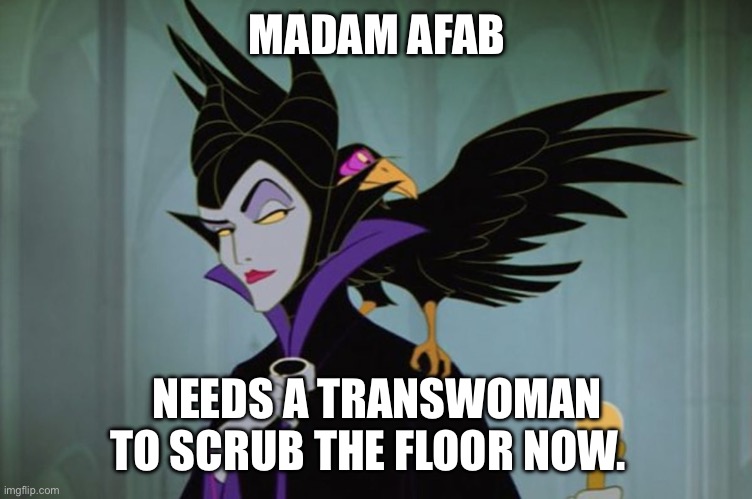 MADAM AFAB; NEEDS A TRANSWOMAN TO SCRUB THE FLOOR NOW. | made w/ Imgflip meme maker