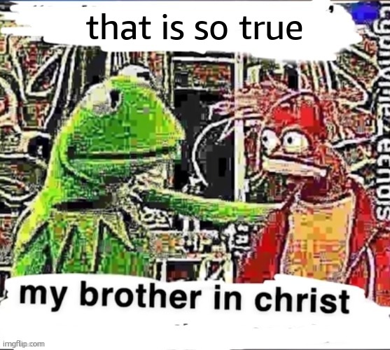 My brother in Christ | that is so true | image tagged in my brother in christ | made w/ Imgflip meme maker