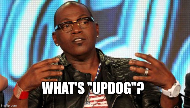 Randy Jackson | WHAT'S "UPDOG"? | image tagged in randy jackson | made w/ Imgflip meme maker