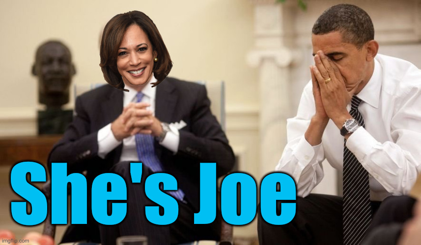 IYKYK | She's Joe | image tagged in biden obama,political meme,politics,funny memes,funny | made w/ Imgflip meme maker