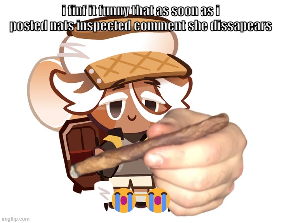 smore cookie with a blunt | i finf it funny that as soon as i posted nats inspected comment she dissapears; 😭😭 | image tagged in smore cookie with a blunt | made w/ Imgflip meme maker