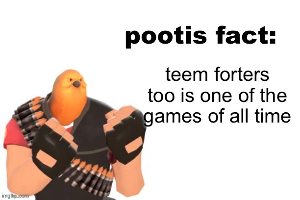 pootis fact | teem forters too is one of the games of all time | image tagged in pootis fact | made w/ Imgflip meme maker