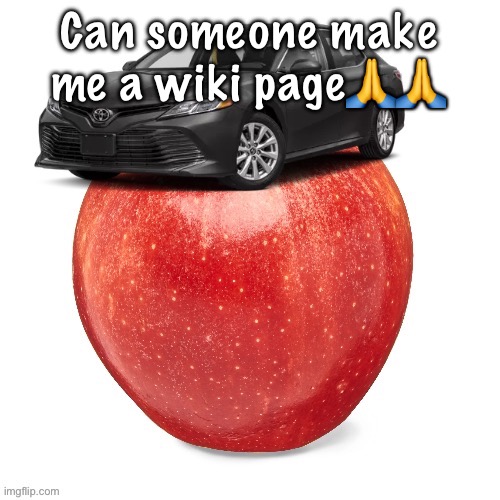 CamryApple | Can someone make me a wiki page🙏🙏 | image tagged in camryapple | made w/ Imgflip meme maker