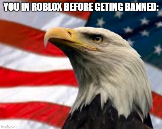 Murica Patriotic Eagle | YOU IN ROBLOX BEFORE GETING BANNED: | image tagged in murica patriotic eagle | made w/ Imgflip meme maker