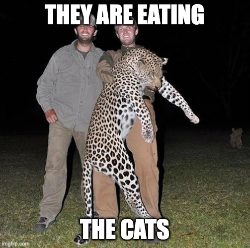 Little Donny and Eric in Africa | THEY ARE EATING; THE CATS | image tagged in trumpboyz | made w/ Imgflip meme maker