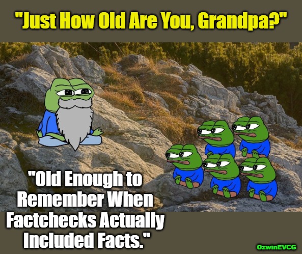 Factcheckers with Major Backing from Billionaires, Governments, or / and Corporations Have Declared Reality as Follows... | "Just How Old Are You, Grandpa?"; "Old Enough to 

Remember When 

Factchecks Actually 

Included Facts."; OzwinEVCG | image tagged in wise,pepe,fact check,regime prostitutes,narrative battles,follow the money | made w/ Imgflip meme maker