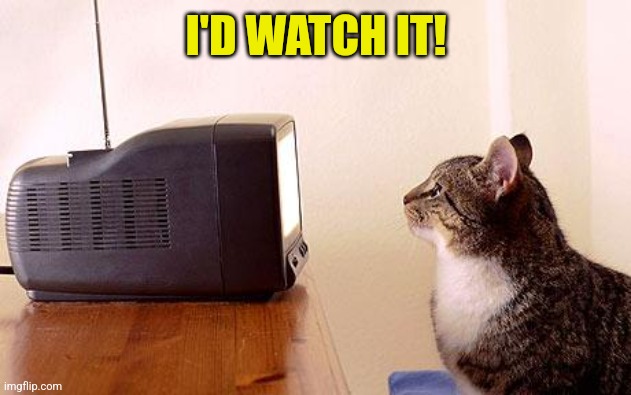 cat watching tv | I'D WATCH IT! | image tagged in cat watching tv | made w/ Imgflip meme maker