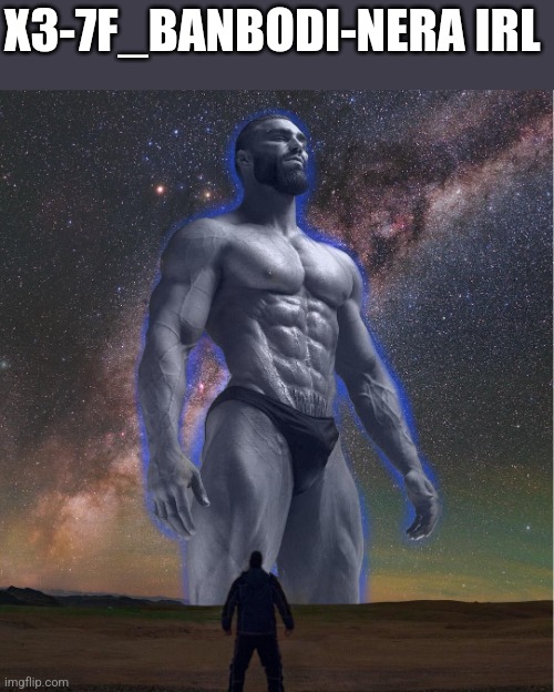 omega chad | X3-7F_BANBODI-NERA IRL | image tagged in omega chad | made w/ Imgflip meme maker