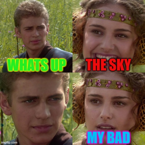 the sky | WHATS UP; THE SKY; MY BAD | image tagged in anakin padme 4 panel | made w/ Imgflip meme maker