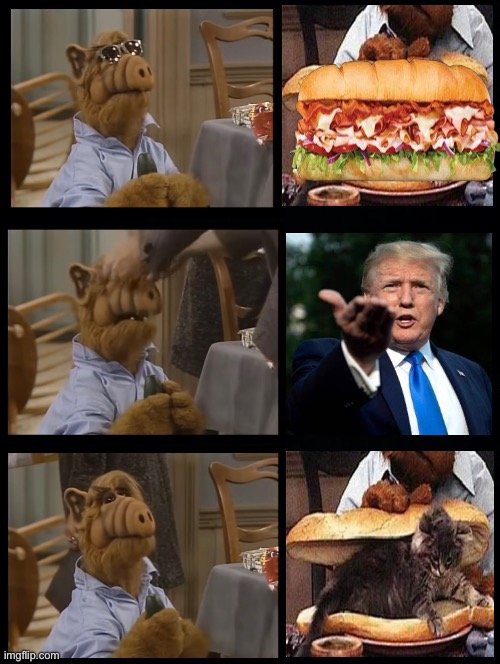 ALF Sunglasses | image tagged in alf,donald trump,sunglasses,cats | made w/ Imgflip meme maker