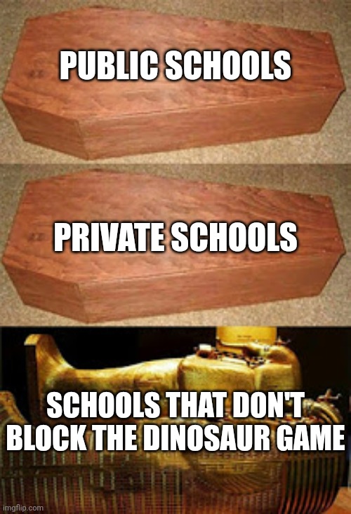 Dinosaur Game. | PUBLIC SCHOOLS; PRIVATE SCHOOLS; SCHOOLS THAT DON'T BLOCK THE DINOSAUR GAME | image tagged in golden coffin meme | made w/ Imgflip meme maker