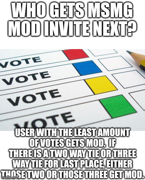 Vote in this strawpoll→   https://strawpoll.com/e2naXEq8vyB | WHO GETS MSMG MOD INVITE NEXT? USER WITH THE LEAST AMOUNT OF VOTES GETS MOD.  IF THERE IS A TWO WAY TIE OR THREE WAY TIE FOR LAST PLACE, EITHER THOSE TWO OR THOSE THREE GET MOD. | image tagged in political poll | made w/ Imgflip meme maker