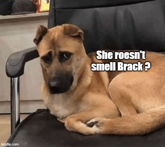 She roesn't smell Brack ? | made w/ Imgflip meme maker
