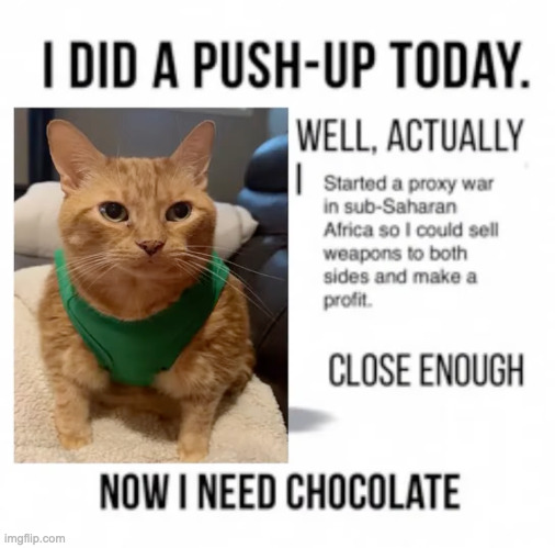 cat | image tagged in funny,cat | made w/ Imgflip meme maker