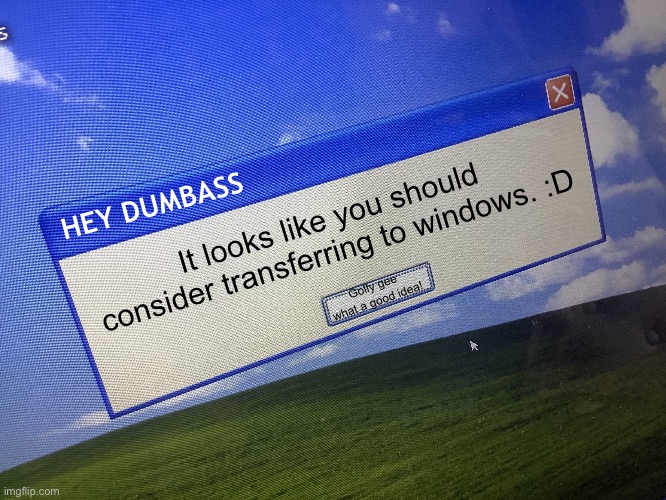 Why is my computer like this. | HEY DUMBASS It looks like you should consider transferring to windows. :D Golly gee what a good idea! | image tagged in why is my computer like this | made w/ Imgflip meme maker