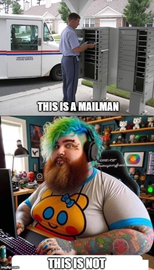 Simple Truth | THIS IS A MAILMAN; THIS IS NOT | image tagged in democrats,liberals,woke,social justice warrior,leftists,truth | made w/ Imgflip meme maker