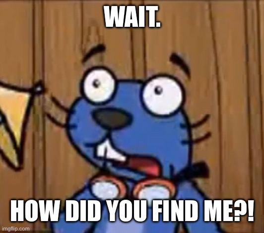 Well, He’s Done. | WAIT. HOW DID YOU FIND ME?! | image tagged in shocked otter | made w/ Imgflip meme maker