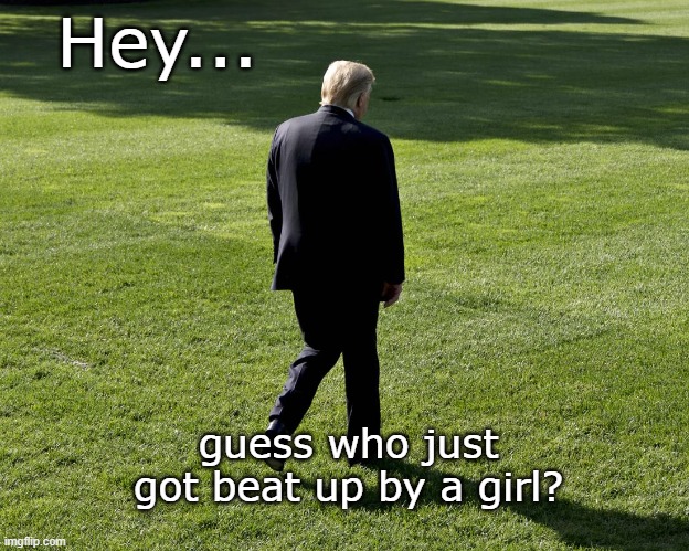 Girls are mean... | Hey... guess who just got beat up by a girl? | image tagged in trump,harris,debate,failure,loser | made w/ Imgflip meme maker