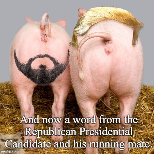 And in second place is...... | And now a word from the Republican Presidential Candidate and his running mate. | image tagged in pigs ass,trump,vance,presidon't,anti-american | made w/ Imgflip meme maker