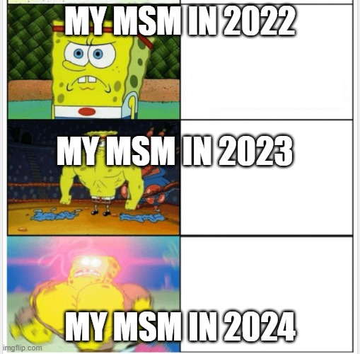 pov your msm | MY MSM IN 2022; MY MSM IN 2023; MY MSM IN 2024 | image tagged in only strong spongbob | made w/ Imgflip meme maker