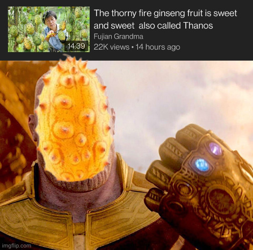 auntie knows best | image tagged in thanos,fujian grandma,ginsing fruit | made w/ Imgflip meme maker