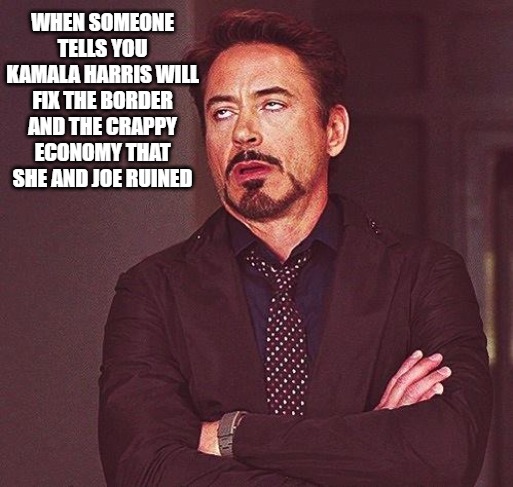 Robert Downey Jr Annoyed | WHEN SOMEONE TELLS YOU KAMALA HARRIS WILL FIX THE BORDER AND THE CRAPPY ECONOMY THAT SHE AND JOE RUINED | image tagged in robert downey jr annoyed,democrats,liars,kamala harris | made w/ Imgflip meme maker