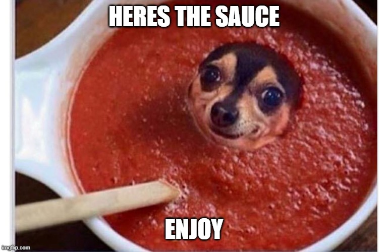 HERES THE SAUCE ENJOY | image tagged in sauce dog | made w/ Imgflip meme maker