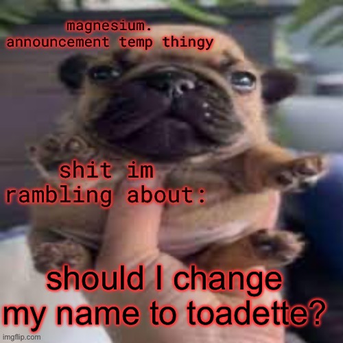 pug temp | should I change my name to toadette? | image tagged in pug temp | made w/ Imgflip meme maker