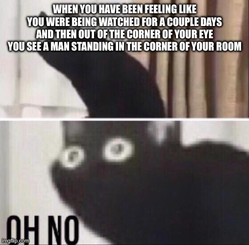 Oh no cat | WHEN YOU HAVE BEEN FEELING LIKE YOU WERE BEING WATCHED FOR A COUPLE DAYS AND THEN OUT OF THE CORNER OF YOUR EYE YOU SEE A MAN STANDING IN THE CORNER OF YOUR ROOM | image tagged in oh no cat | made w/ Imgflip meme maker