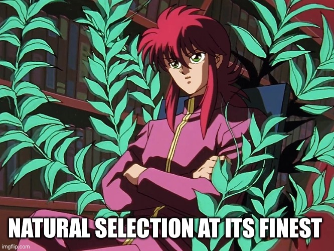 Kurama is unbothered | NATURAL SELECTION AT ITS FINEST | image tagged in 90's,anime,cartoon,demon,spirit halloween | made w/ Imgflip meme maker