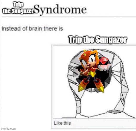 instead of brain there is x | Trip the Sungazer; Trip the Sungazer | image tagged in instead of brain there is x | made w/ Imgflip meme maker