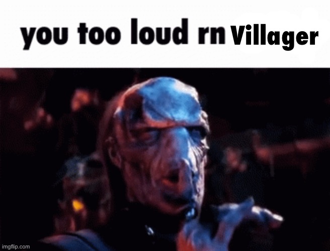 You too loud rn | Villager | image tagged in you too loud rn | made w/ Imgflip meme maker