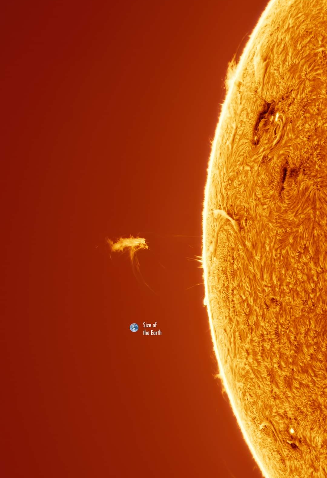 Sun and earth size Blank Meme Template