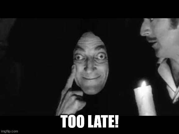 too late | TOO LATE! | image tagged in marty feldman | made w/ Imgflip meme maker