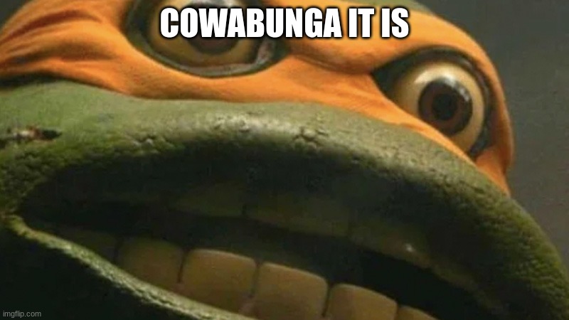 yes | COWABUNGA IT IS | image tagged in cowabunga it is but it's actually blank | made w/ Imgflip meme maker