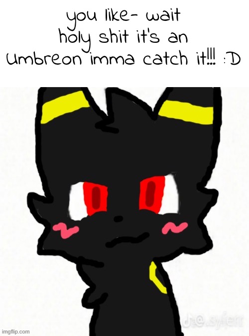 :D!!! | you like- wait holy shit it's an Umbreon imma catch it!!! :D | image tagged in boy kisser but it's umbreon | made w/ Imgflip meme maker