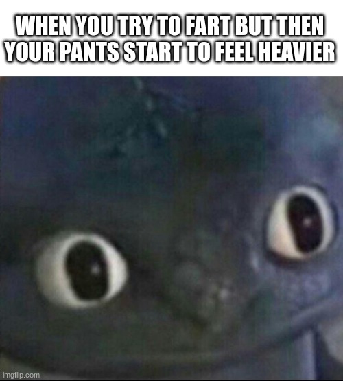 *very clever title here* | WHEN YOU TRY TO FART BUT THEN YOUR PANTS START TO FEEL HEAVIER | image tagged in toothless blank stare | made w/ Imgflip meme maker