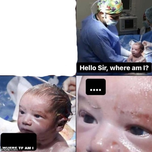 Hello sir, where am I | WHERE TF AM I | image tagged in hello sir where am i | made w/ Imgflip meme maker