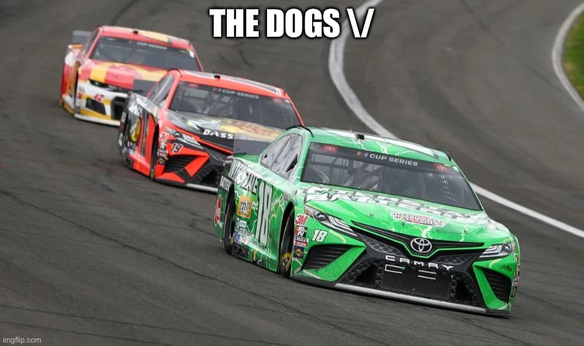 Three Racecars Racing | THE DOGS \/ | image tagged in three racecars racing | made w/ Imgflip meme maker