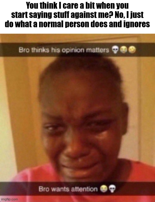 If you want to hate me, sure do it. But I don't hate anyone myself, I just disapprove of several users. | You think I care a bit when you start saying stuff against me? No, I just do what a normal person does and ignores | image tagged in bro wants attention | made w/ Imgflip meme maker