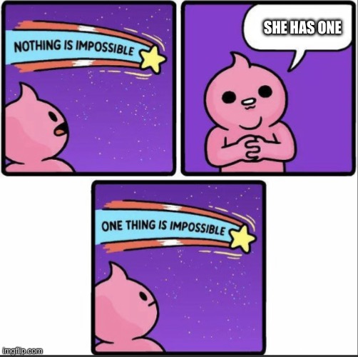 One thing is impossible | SHE HAS ONE | image tagged in one thing is impossible | made w/ Imgflip meme maker