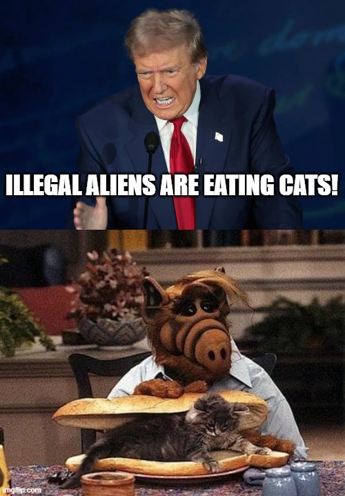 Trump/Shumway | ILLEGAL ALIENS ARE EATING CATS! | image tagged in donald trump,alf | made w/ Imgflip meme maker