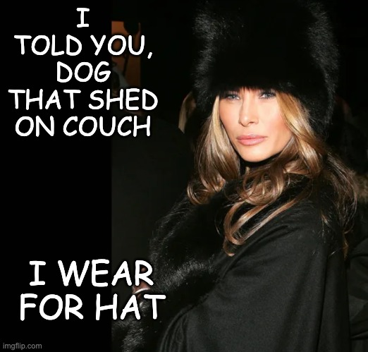 I TOLD YOU, DOG THAT SHED ON COUCH I WEAR FOR HAT | made w/ Imgflip meme maker