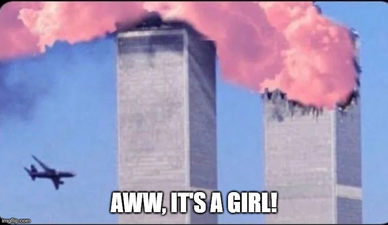 Awwww :D | image tagged in 911 9/11 twin towers impact | made w/ Imgflip meme maker