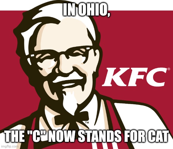 My cats have worms, 'k? | IN OHIO, THE "C" NOW STANDS FOR CAT | image tagged in kfc | made w/ Imgflip meme maker