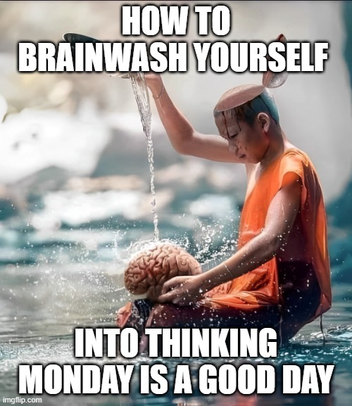 Monday | HOW TO BRAINWASH YOURSELF; INTO THINKING MONDAY IS A GOOD DAY | image tagged in monday,memes,funny,brainwashing | made w/ Imgflip meme maker